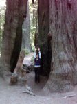 Eureka_trip_July_2009_030.jpg