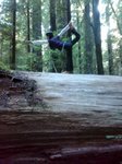 Eureka_trip_July_2009_033.jpg
