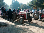 IMG02144-20111027-1034.jpg