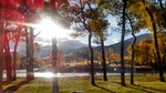 IMG_20131009_085119_117.jpg